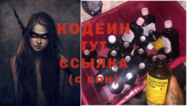 таблы Осинники