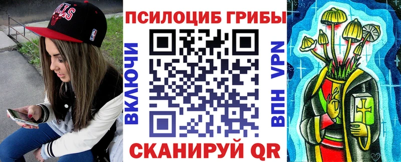 как найти закладки  Суздаль  Псилоцибиновые грибы Magic Shrooms 